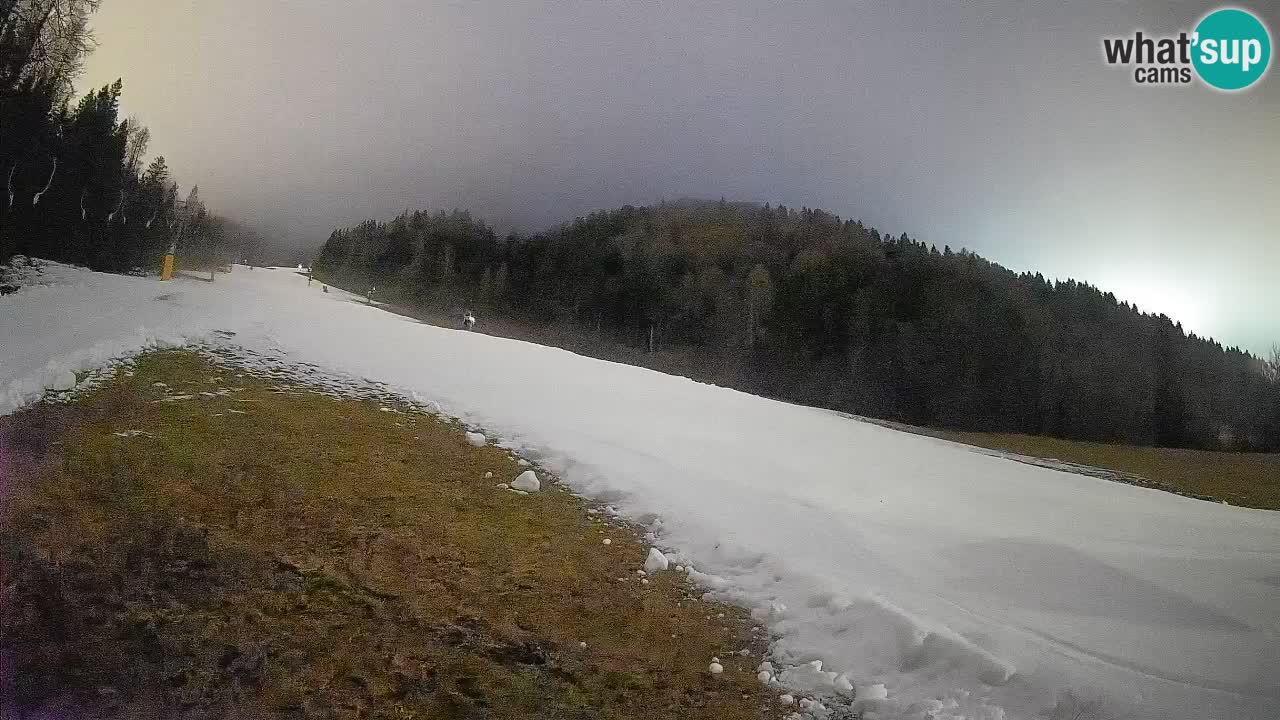 Comprensorio sciistico Kranjska Gora | Brsnina