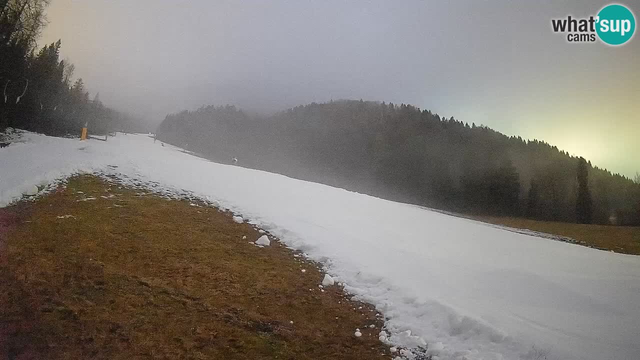 RTC Skigebiet Kranjska Gora | Brsnina