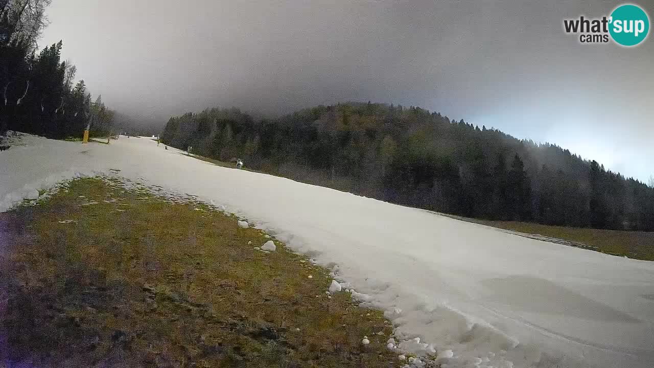 Kranjska Gora Station de ski | Brsnina
