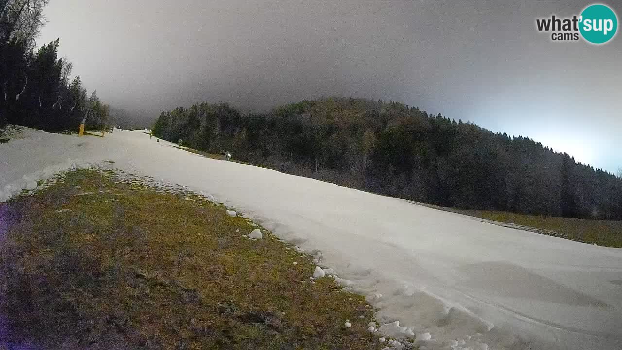 Comprensorio sciistico Kranjska Gora | Brsnina