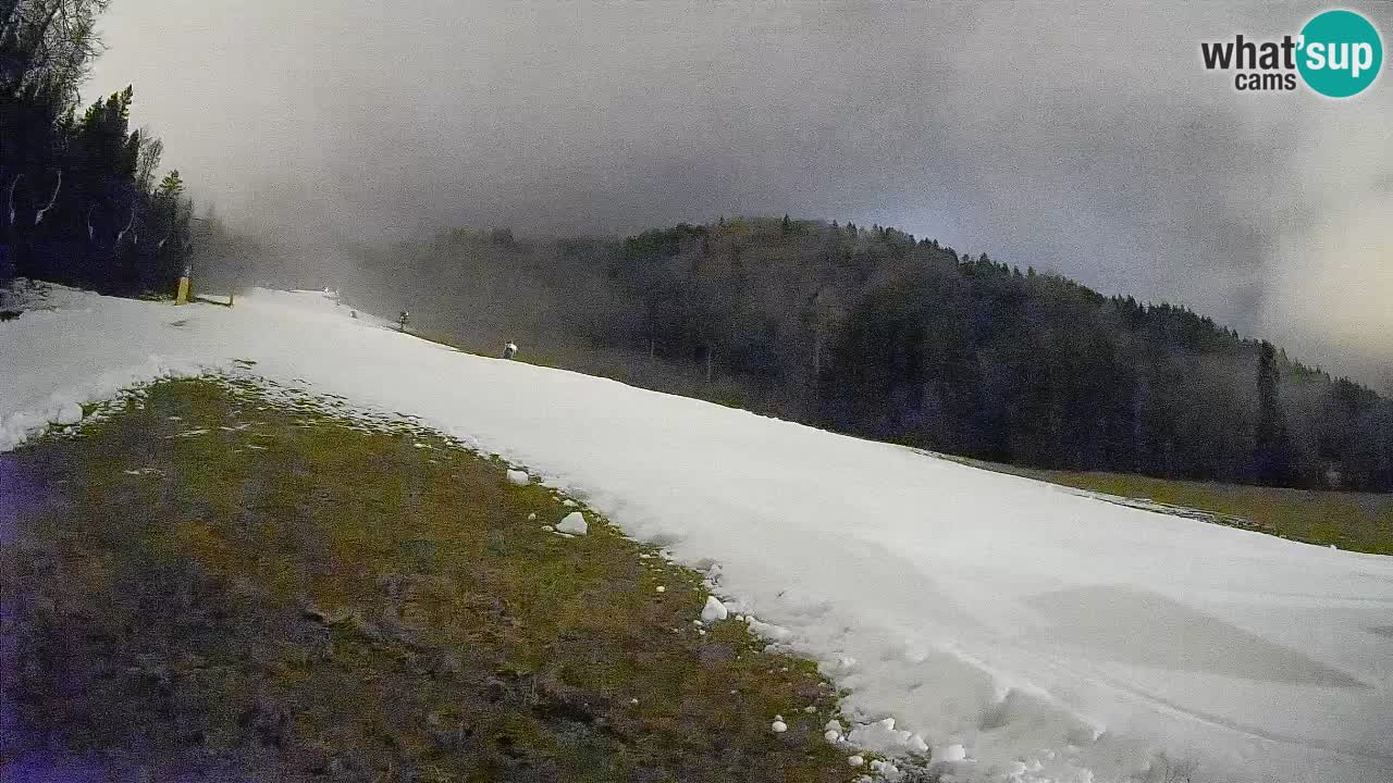 RTC Skigebiet Kranjska Gora | Brsnina