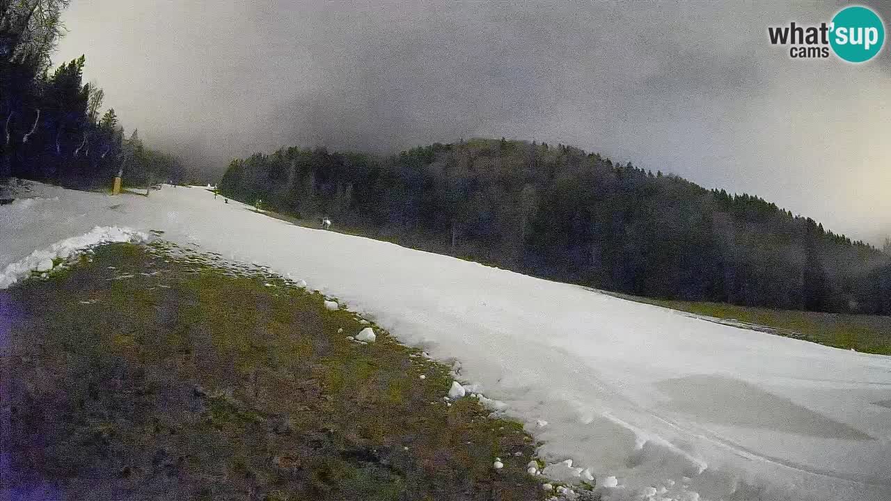 Esquí Kranjska Gora | Brsnina