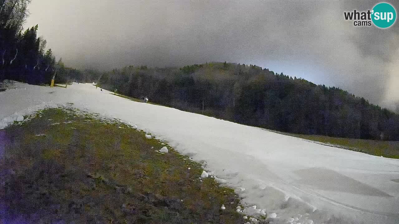 RTC Skigebiet Kranjska Gora | Brsnina