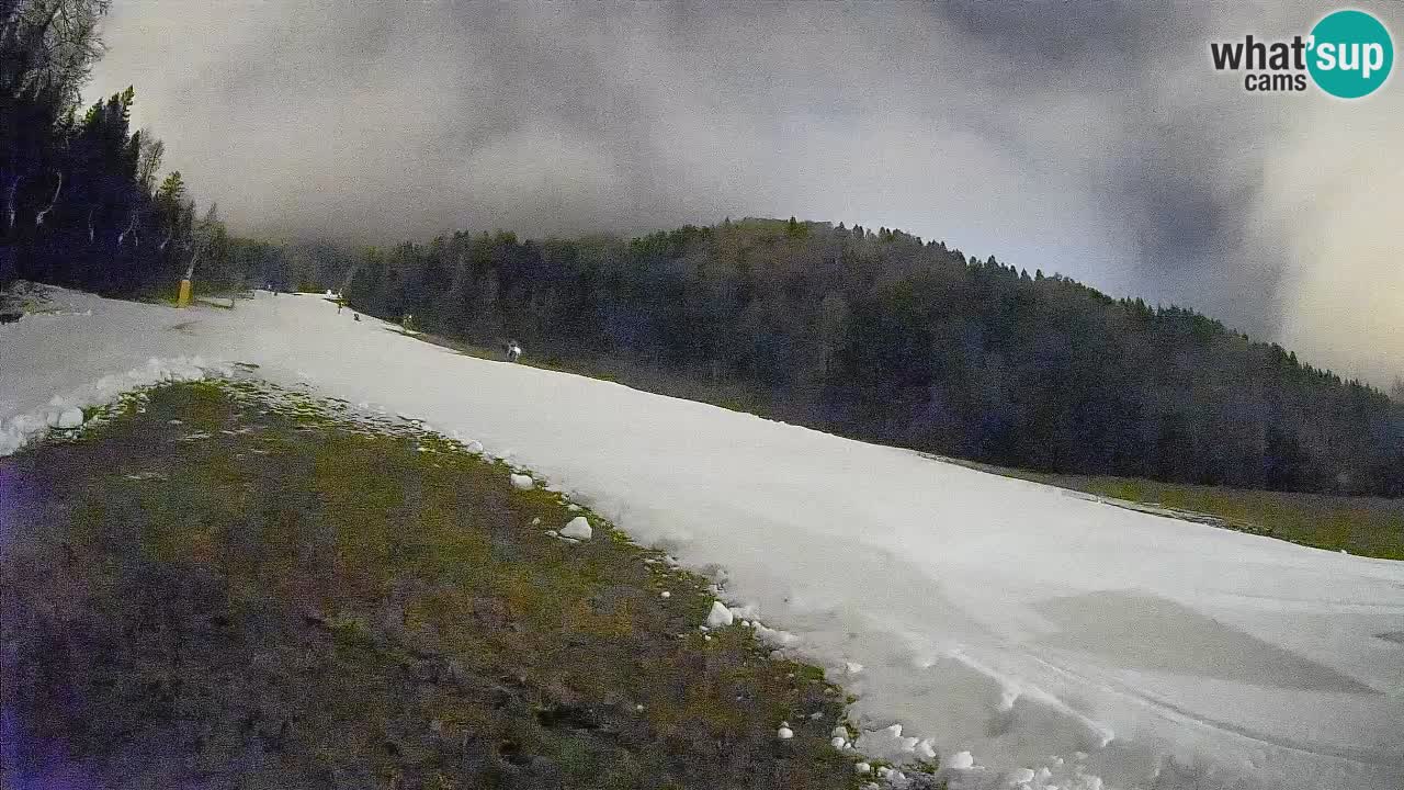 Esquí Kranjska Gora | Brsnina