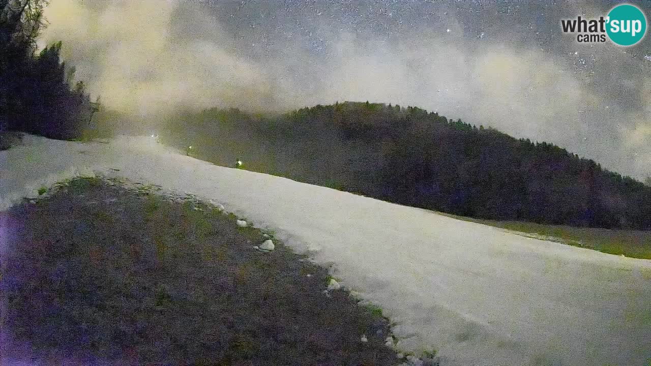 Comprensorio sciistico Kranjska Gora | Brsnina