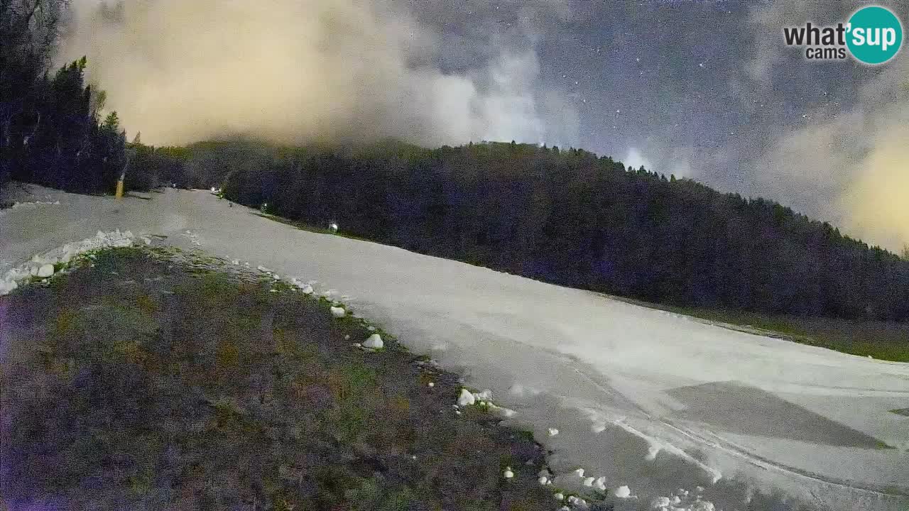 Ski Kranjska Gora | Brsnina