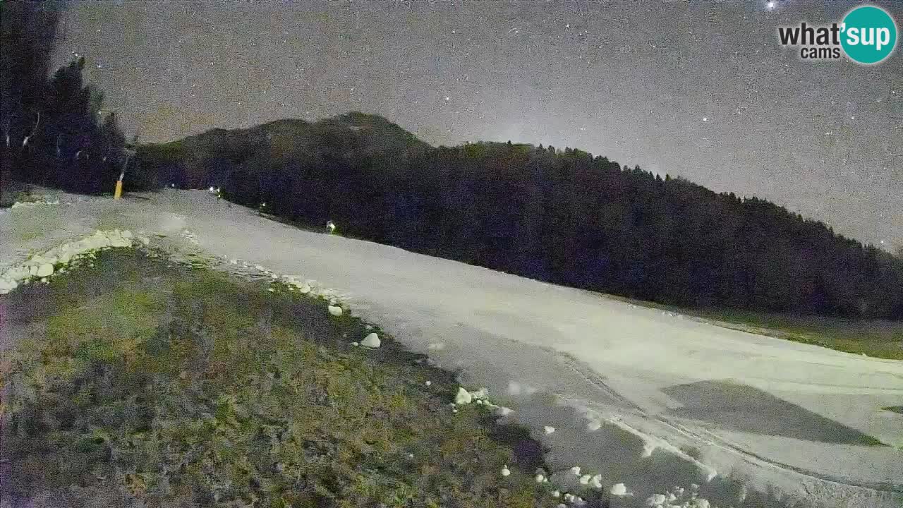 Ski Kranjska Gora | Brsnina