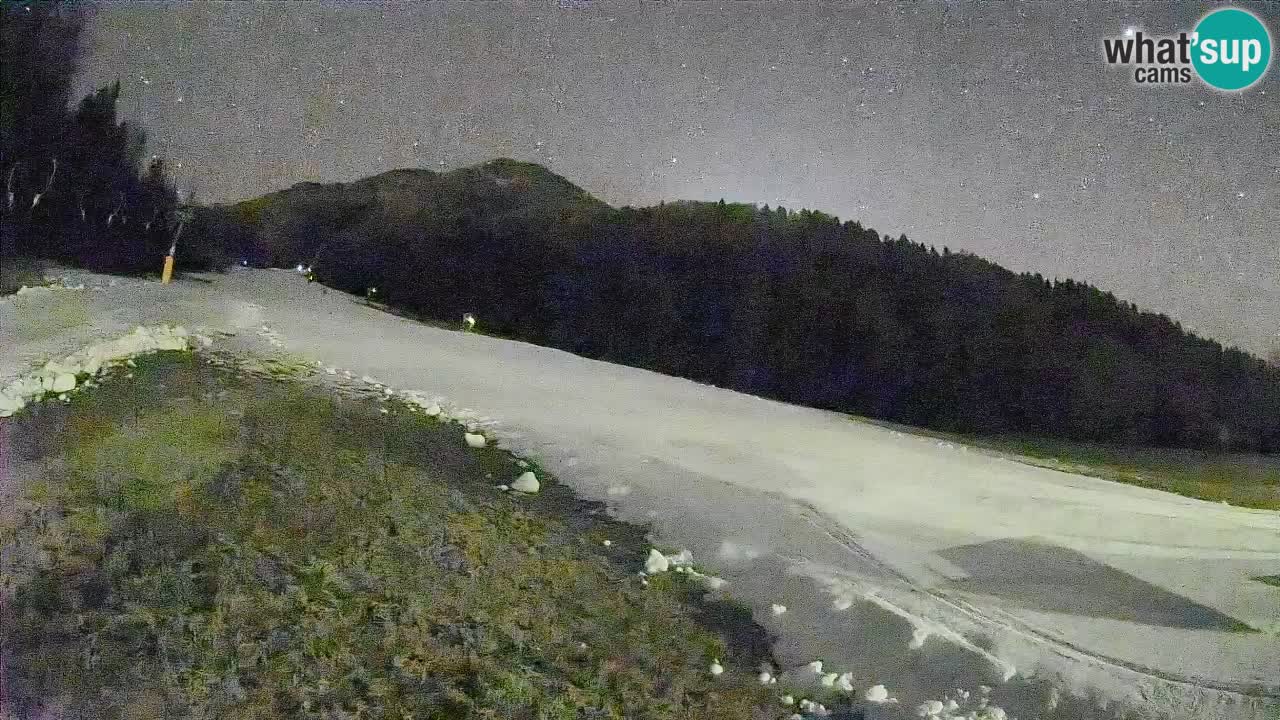 Ski Kranjska Gora | Brsnina