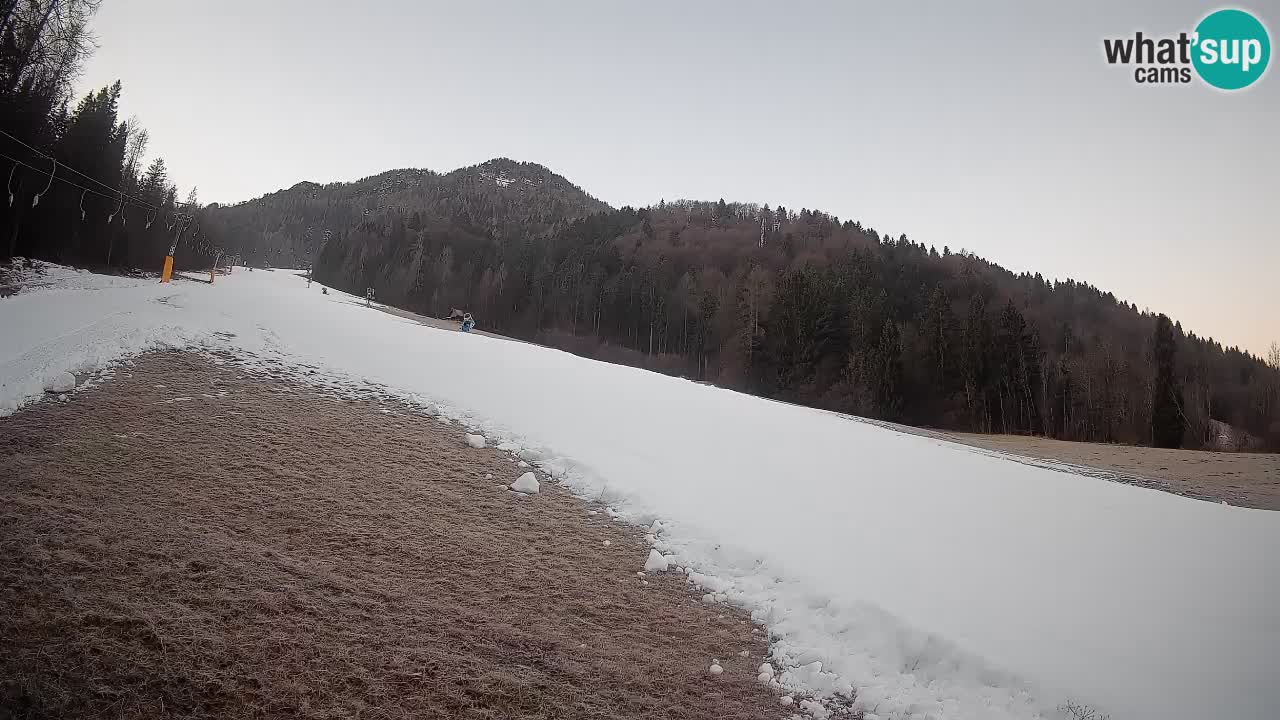 RTC Kranjska Gora | Brsnina