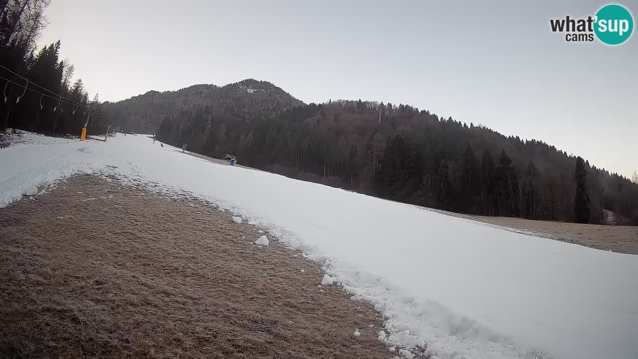 Kranjska Gora Station de ski | Brsnina