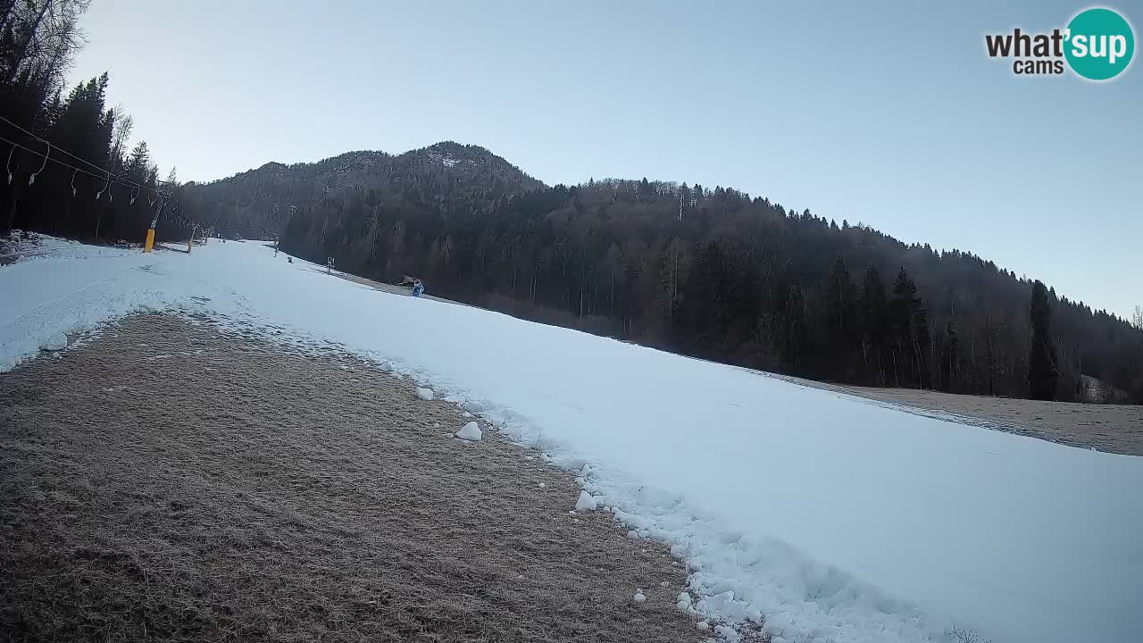 Kranjska Gora Station de ski | Brsnina