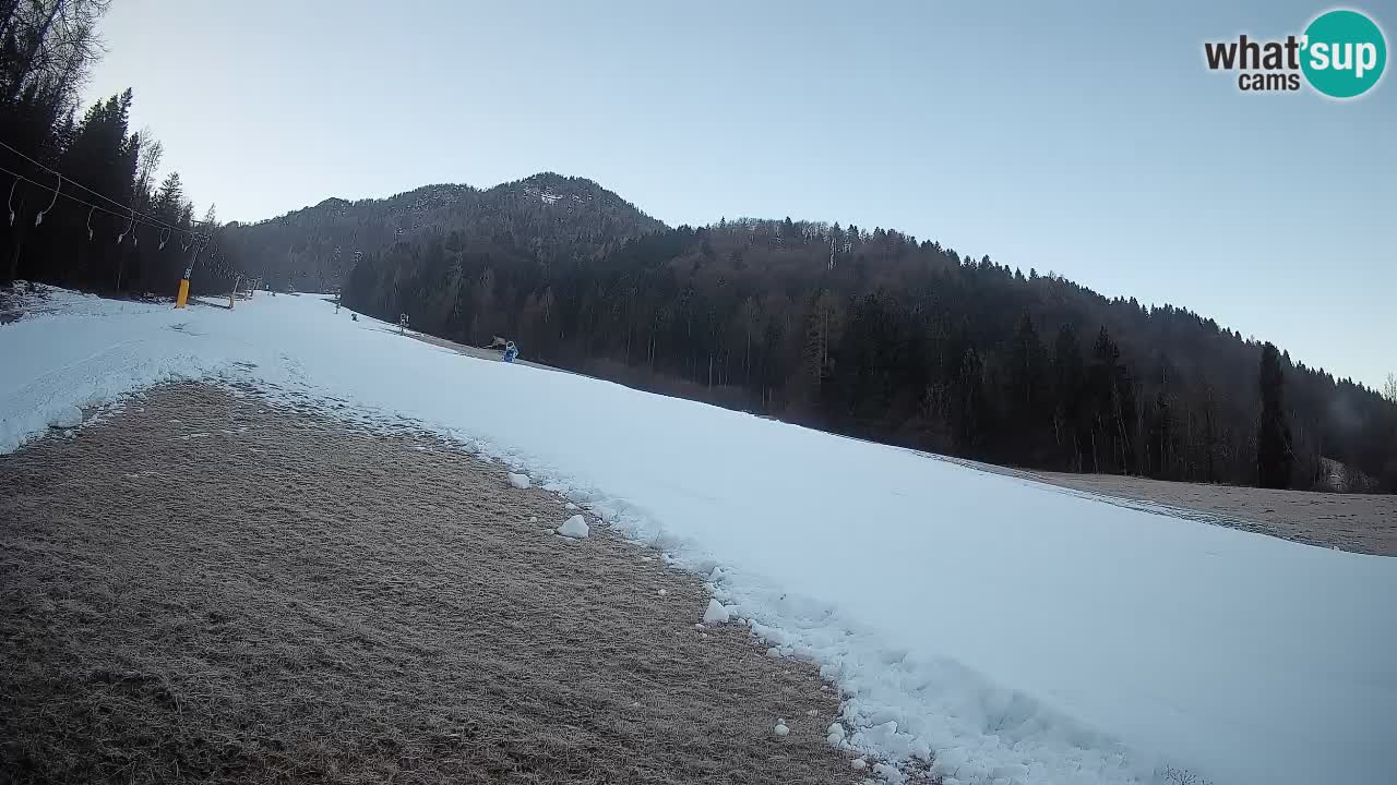 Ski Kranjska Gora | Brsnina