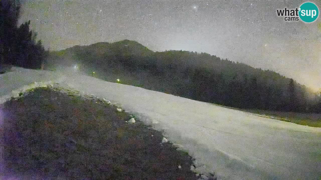 Ski Kranjska Gora | Brsnina