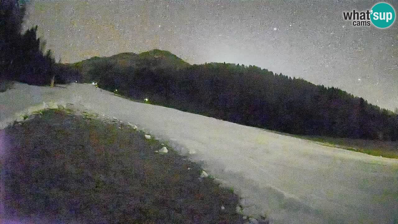 Kranjska Gora Station de ski | Brsnina