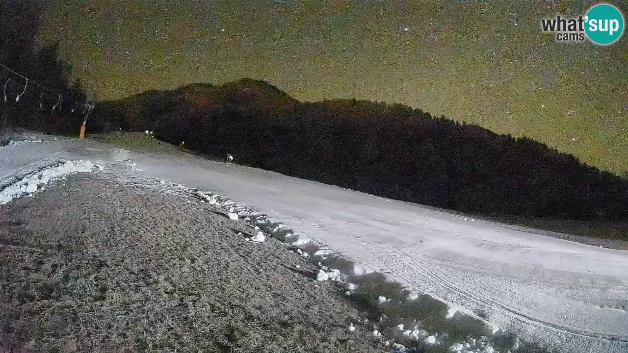 Ski Kranjska Gora | Brsnina