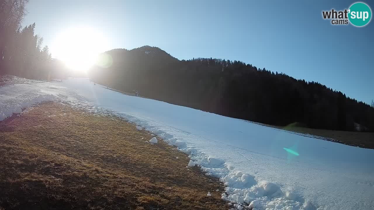 Esquí Kranjska Gora | Brsnina