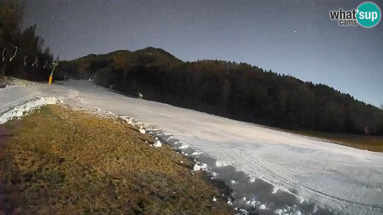 Ski Kranjska Gora | Brsnina