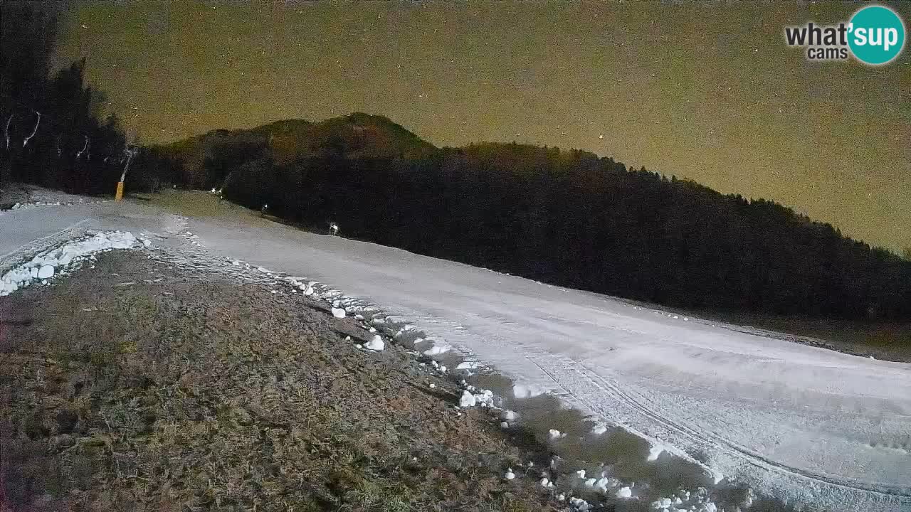 Ski Kranjska Gora | Brsnina