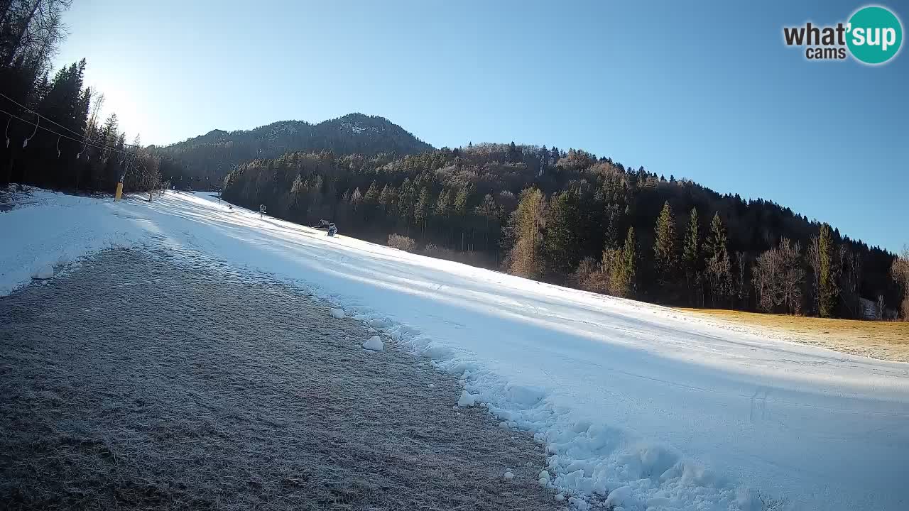 Kranjska Gora SKIJANJE | Brsnina