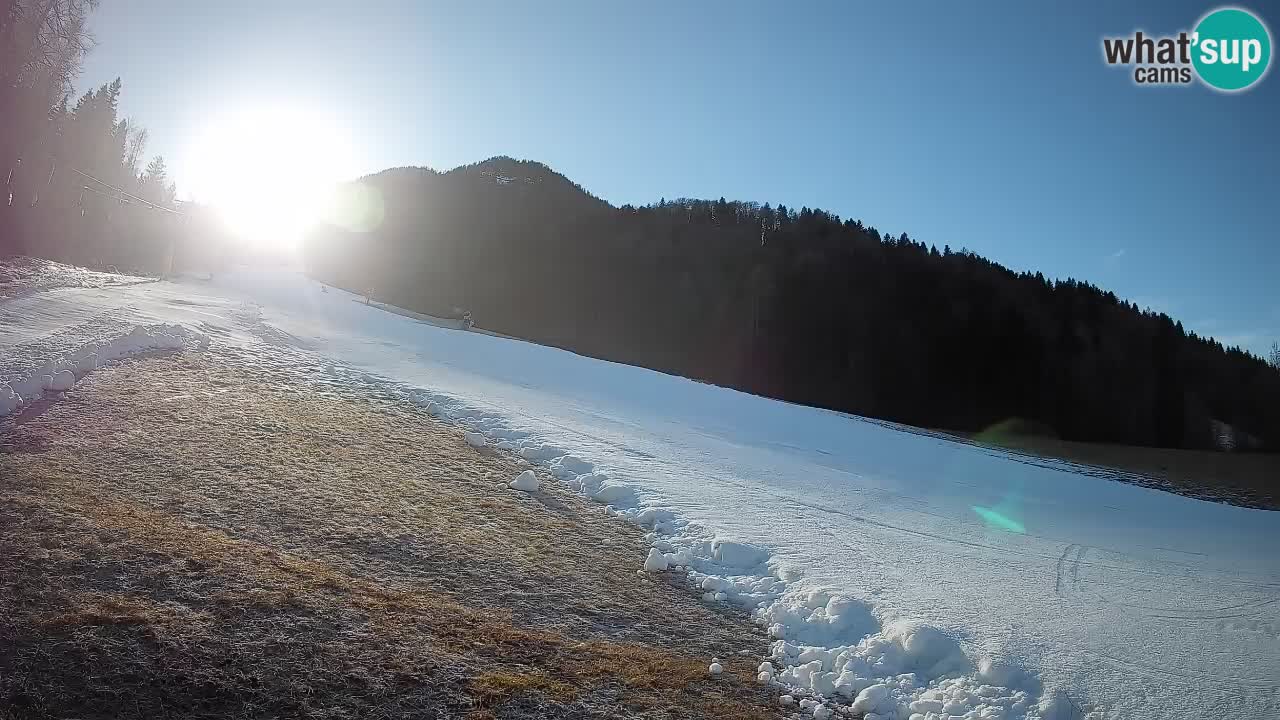 Kranjska Gora SKIJANJE | Brsnina