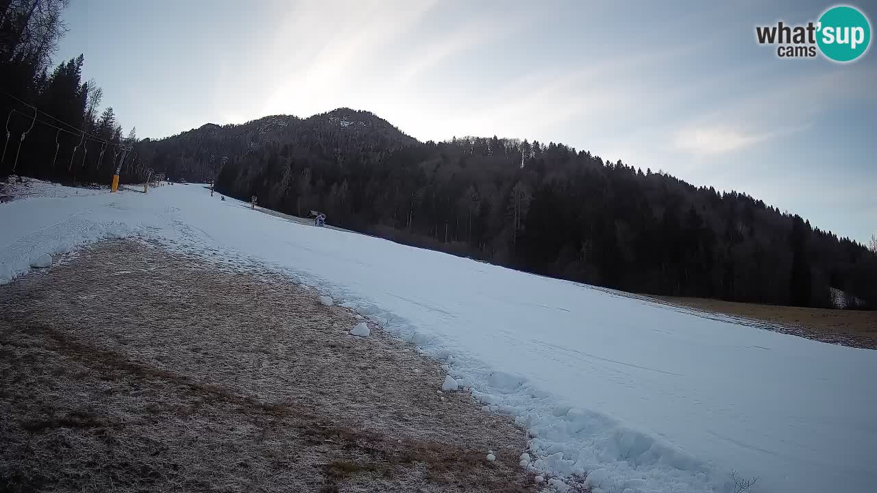 Kranjska Gora SKIJANJE | Brsnina