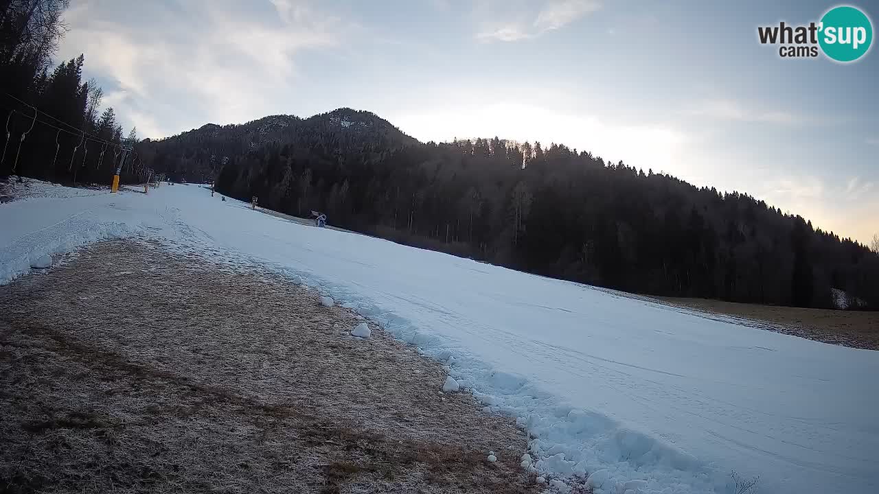 Ski Kranjska Gora | Brsnina