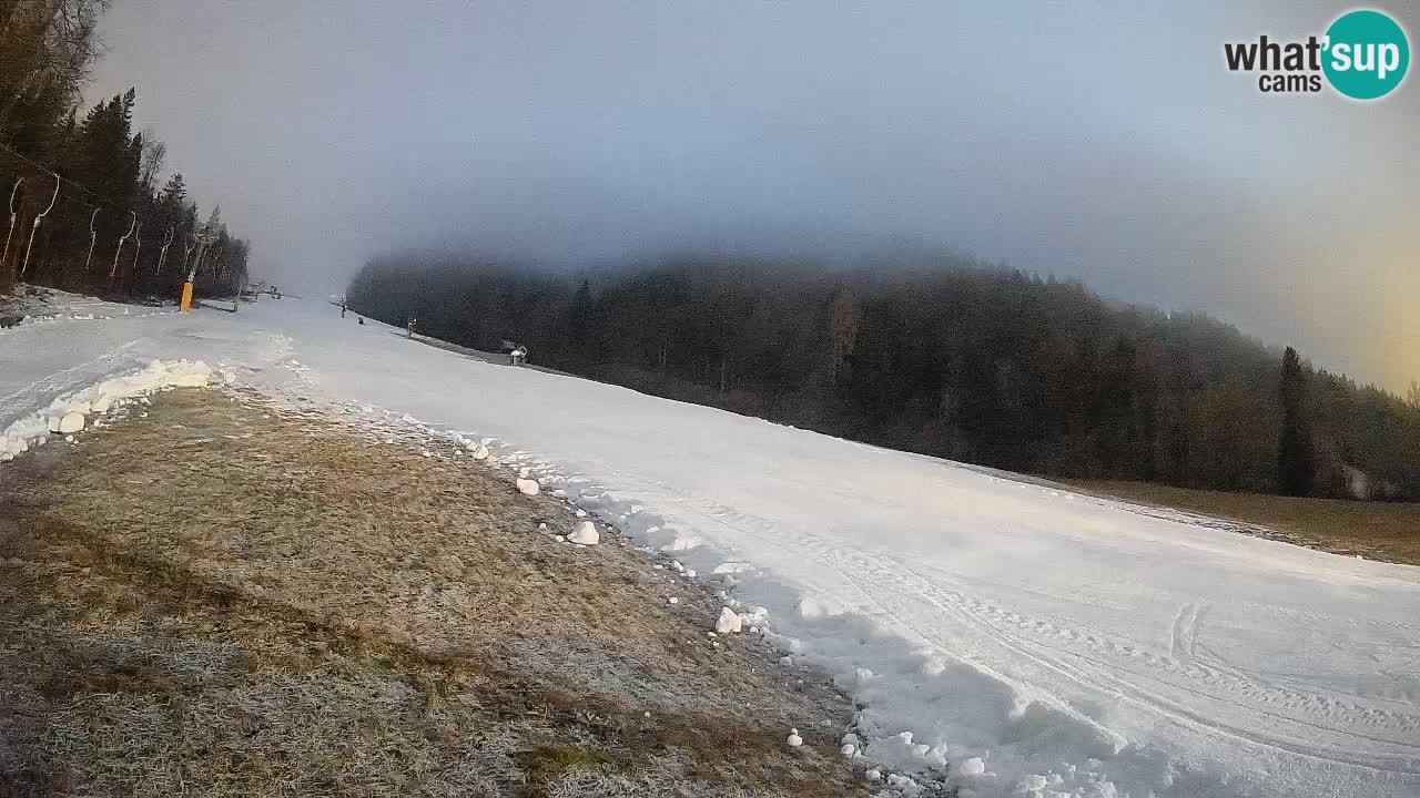 Kranjska Gora Station de ski | Brsnina