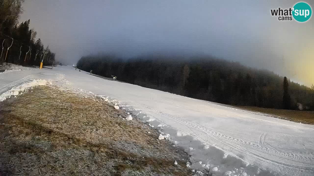 Kranjska Gora Station de ski | Brsnina