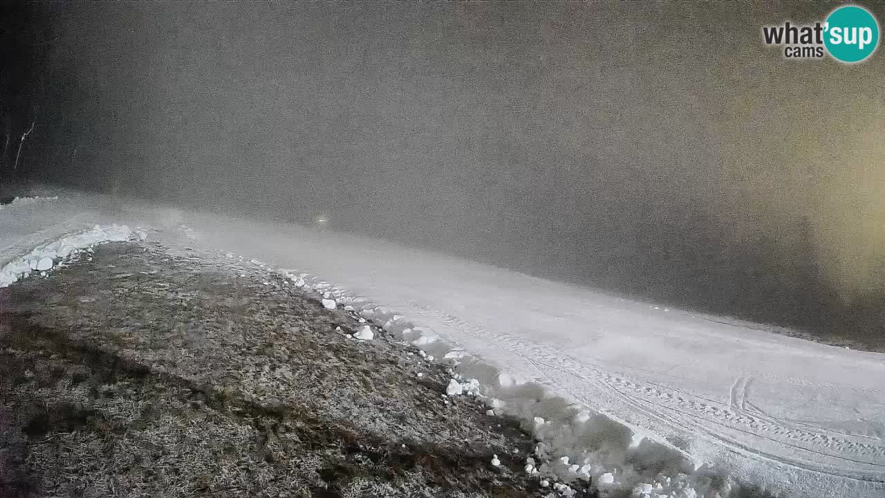 Ski Kranjska Gora | Brsnina