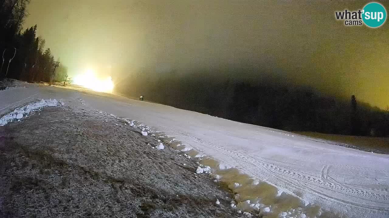 Ski Kranjska Gora | Brsnina