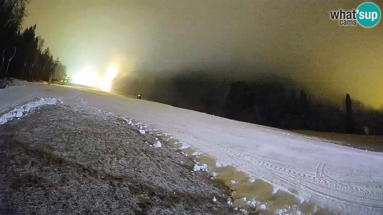 Ski Kranjska Gora | Brsnina