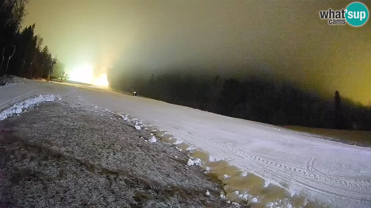 Ski Kranjska Gora | Brsnina