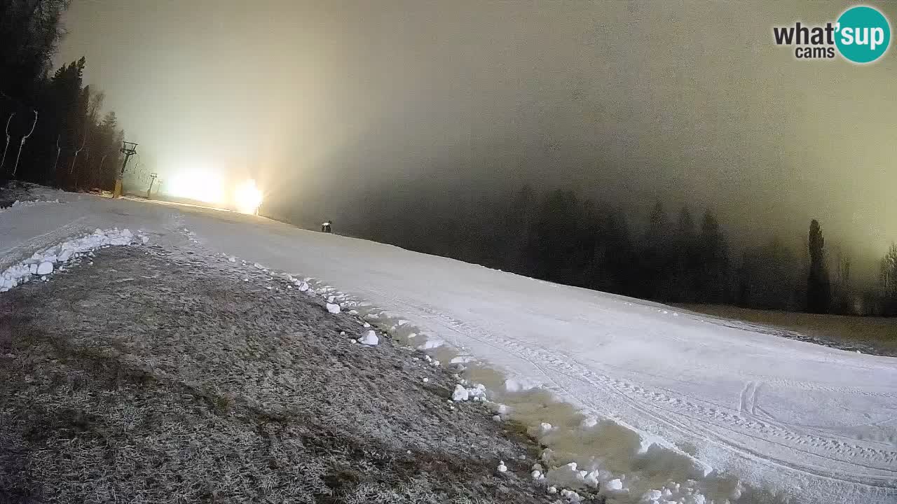 Ski Kranjska Gora | Brsnina