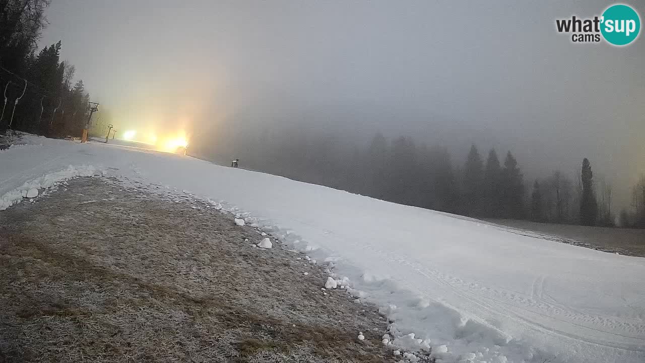 Kranjska Gora Station de ski | Brsnina