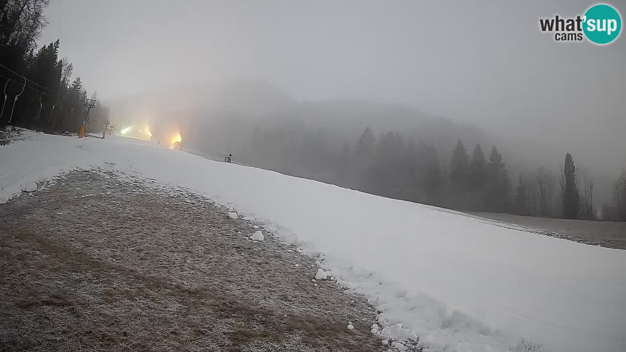 Esquí Kranjska Gora | Brsnina