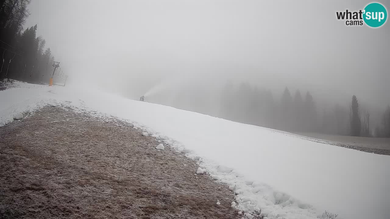 Comprensorio sciistico Kranjska Gora | Brsnina