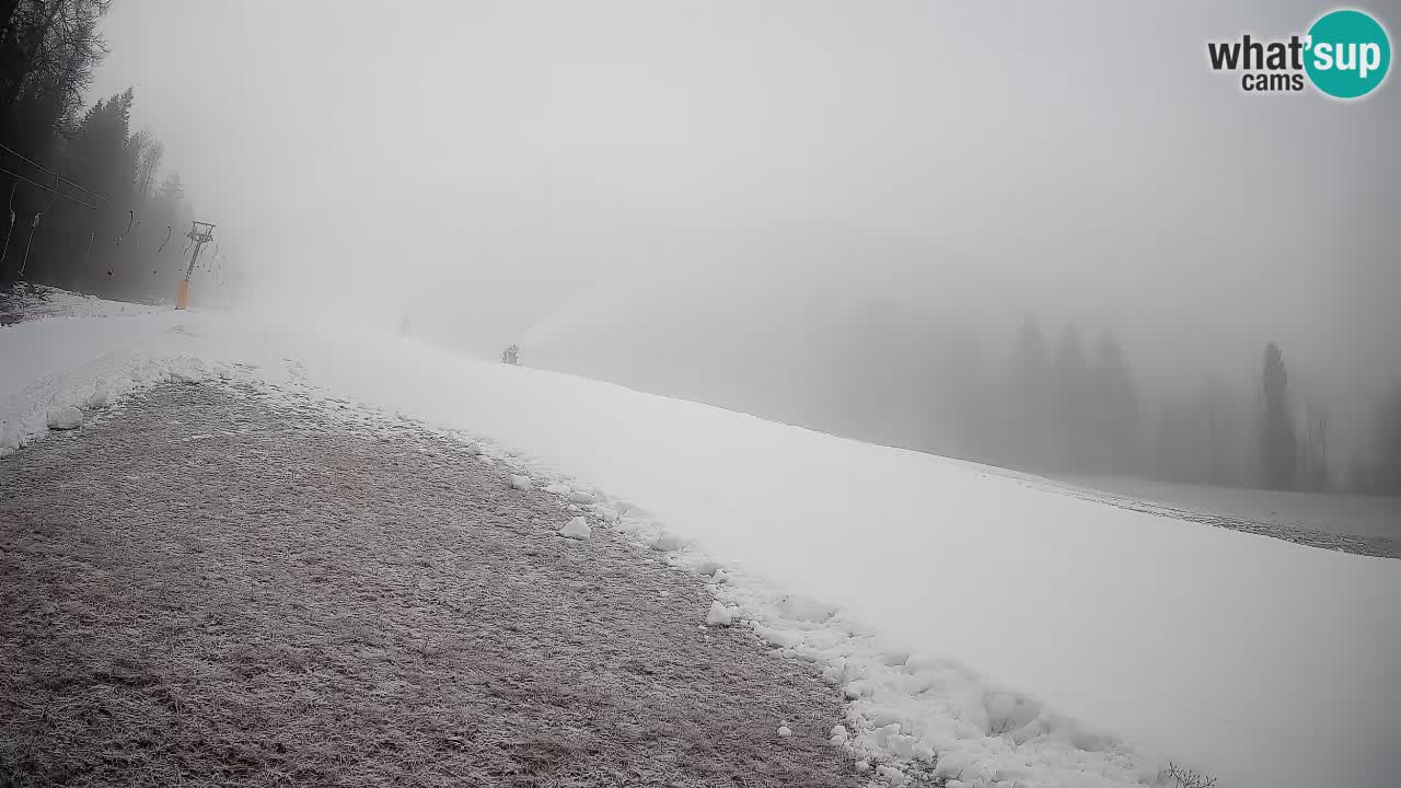 Esquí Kranjska Gora | Brsnina