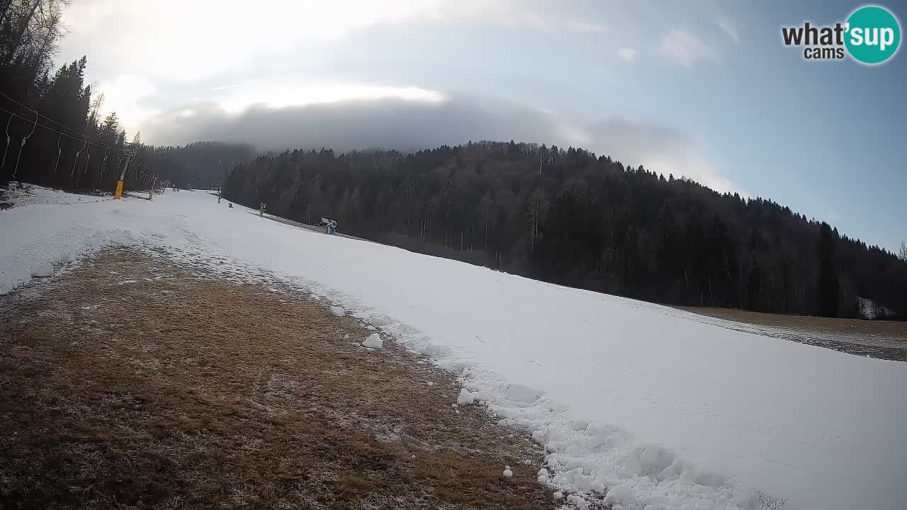 Kranjska Gora Station de ski | Brsnina