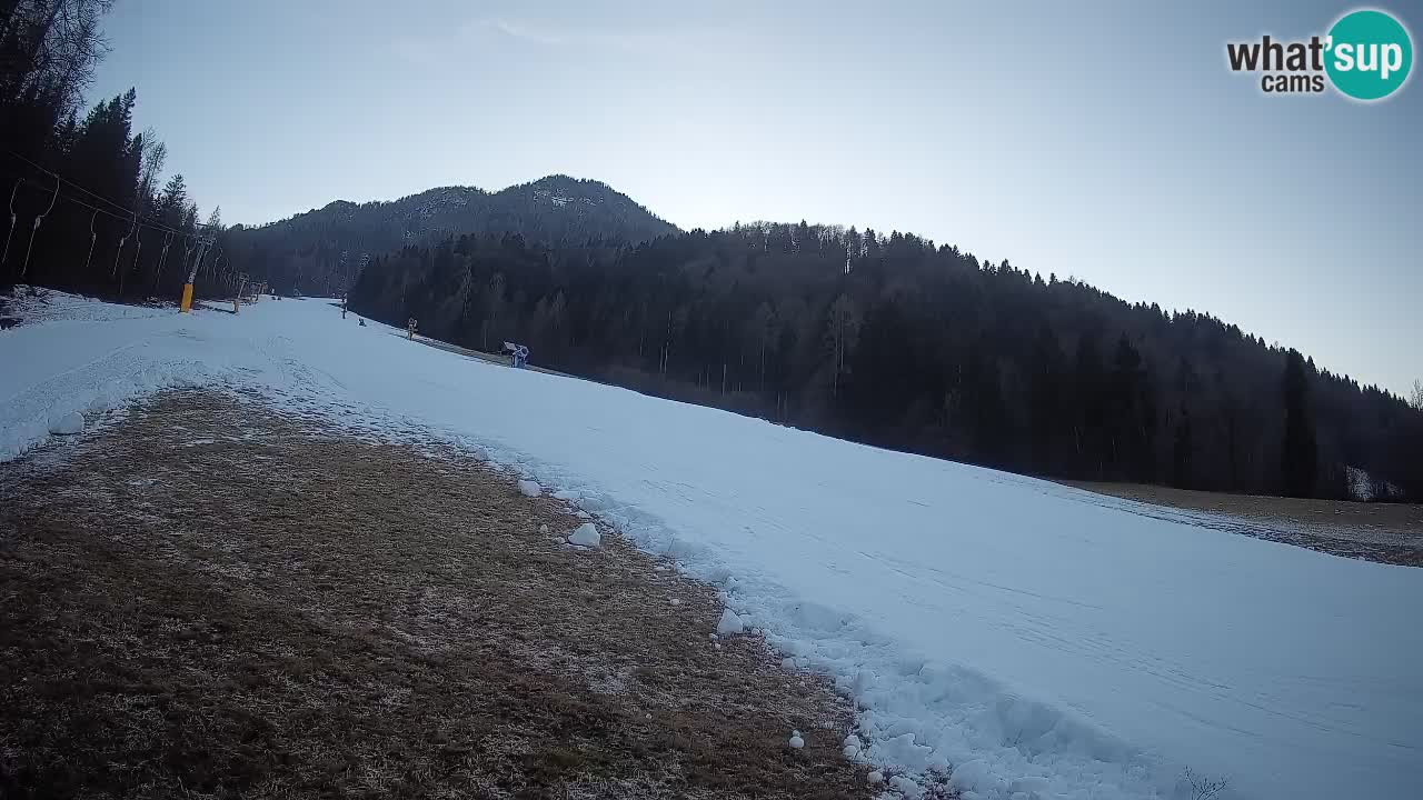 RTC Kranjska Gora | Brsnina