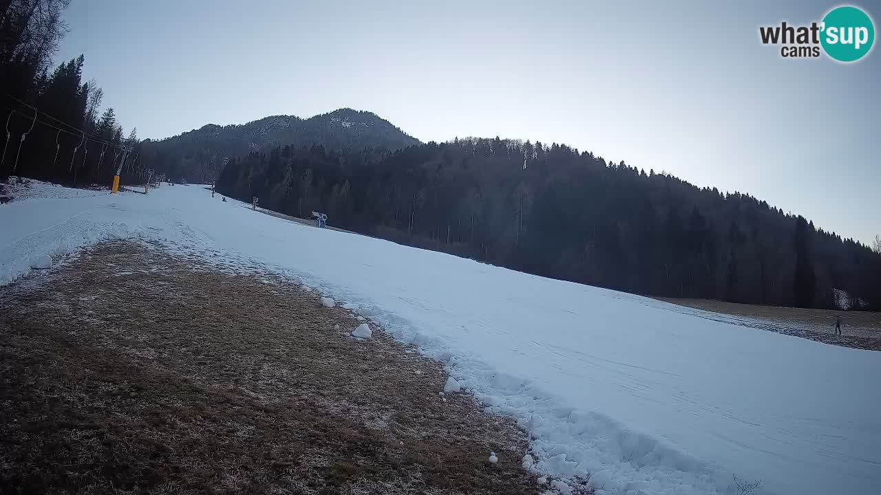 RTC Kranjska Gora | Brsnina