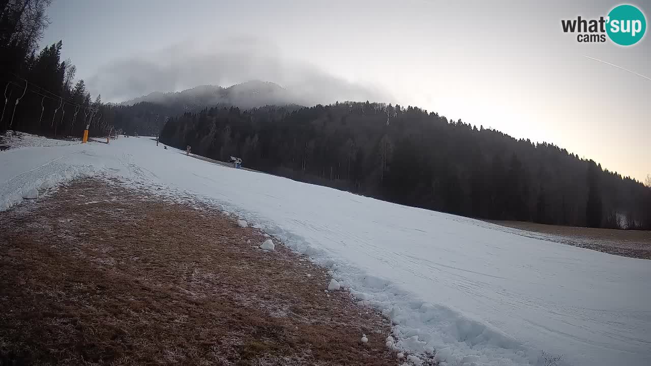 RTC Skigebiet Kranjska Gora | Brsnina