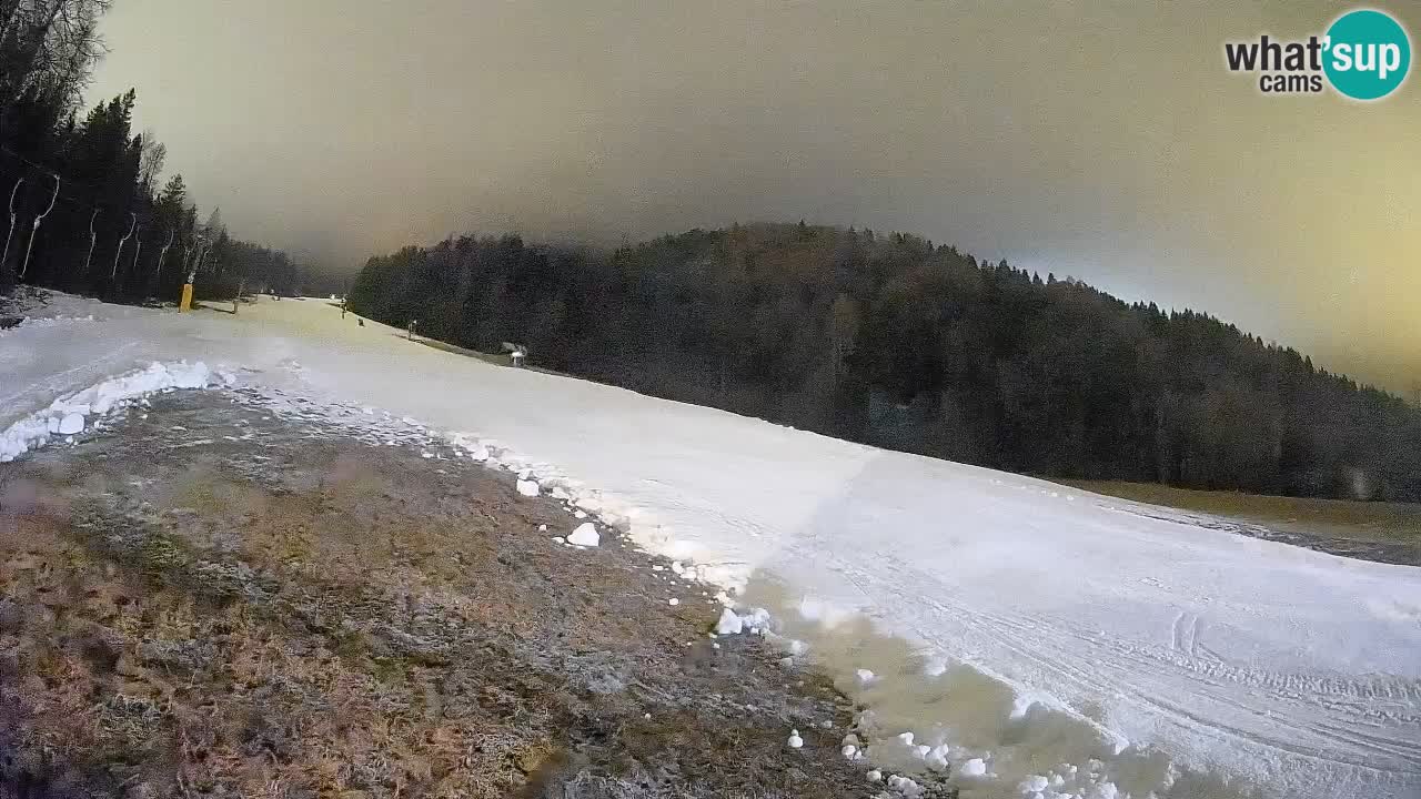 RTC Skigebiet Kranjska Gora | Brsnina