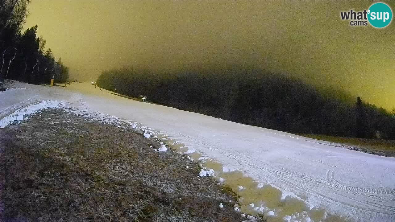 Ski Kranjska Gora | Brsnina