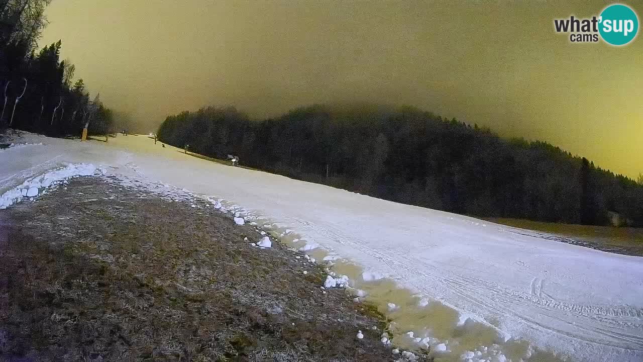 Esquí Kranjska Gora | Brsnina