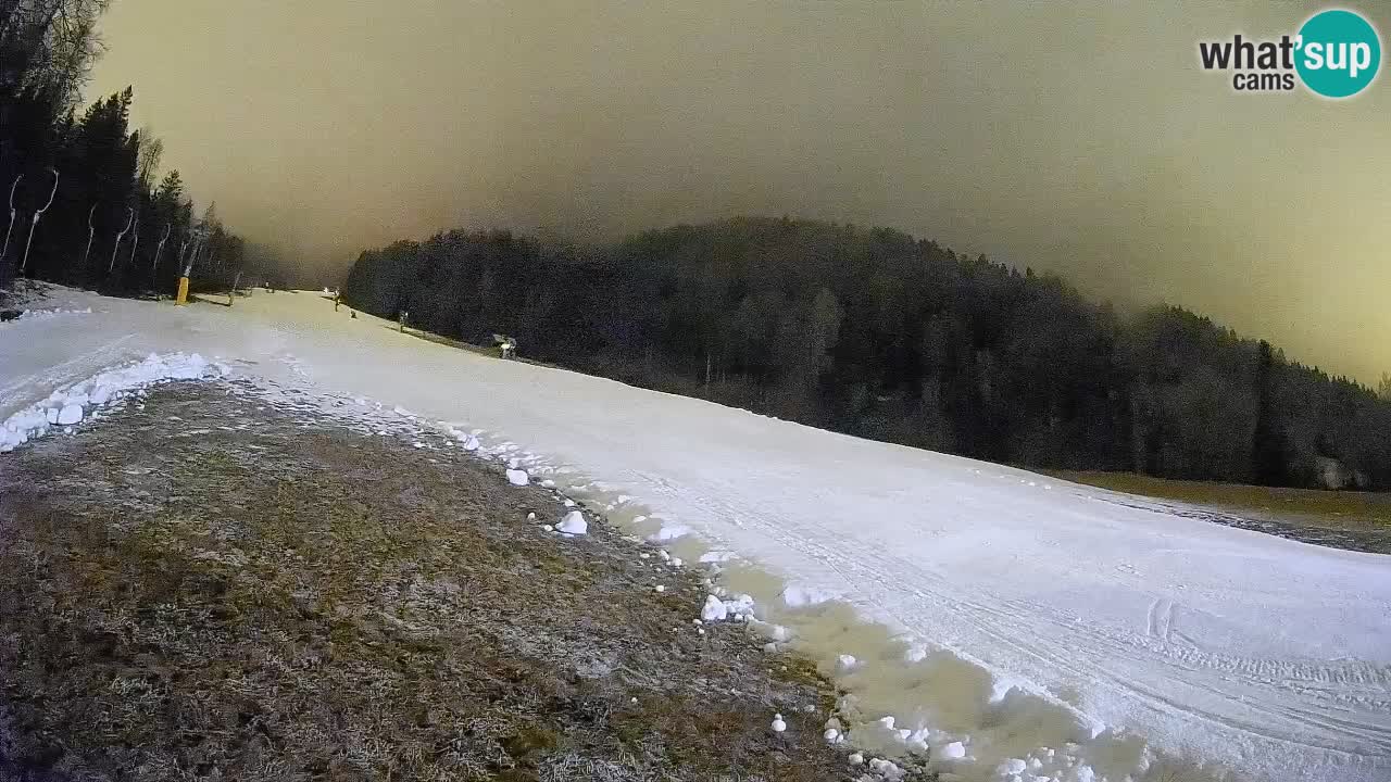 Esquí Kranjska Gora | Brsnina