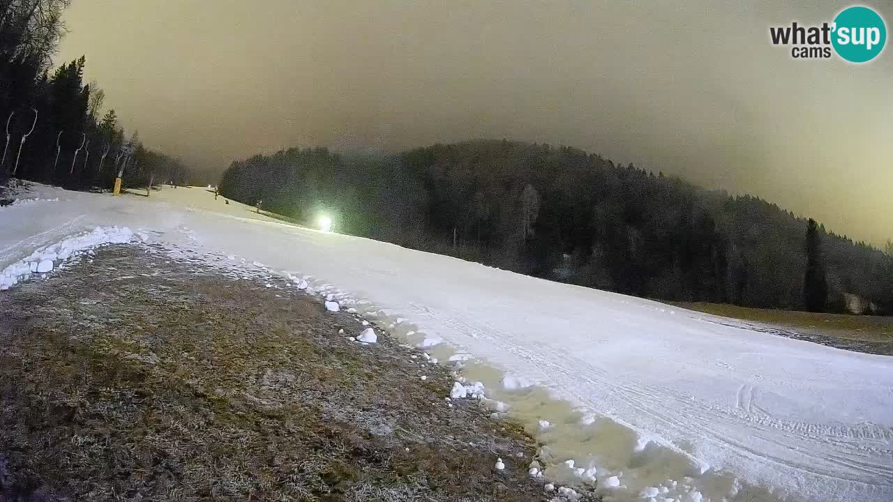 Comprensorio sciistico Kranjska Gora | Brsnina