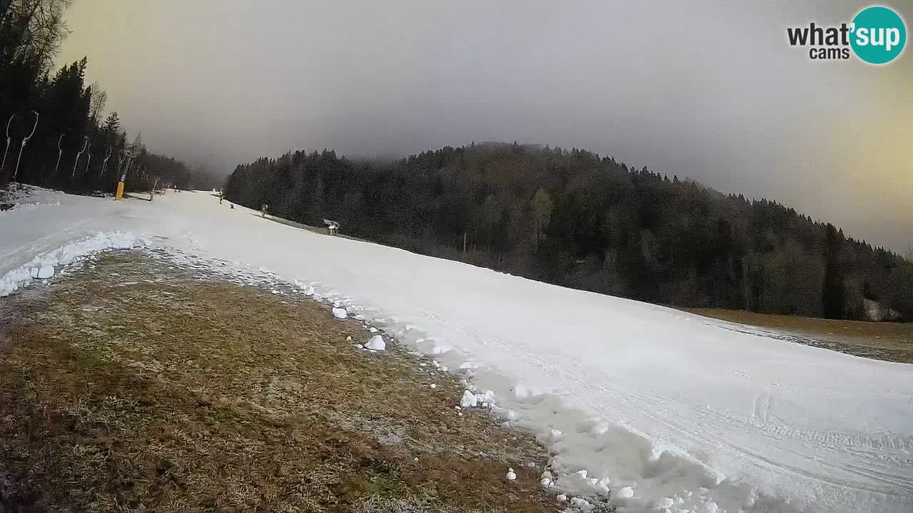 Esquí Kranjska Gora | Brsnina