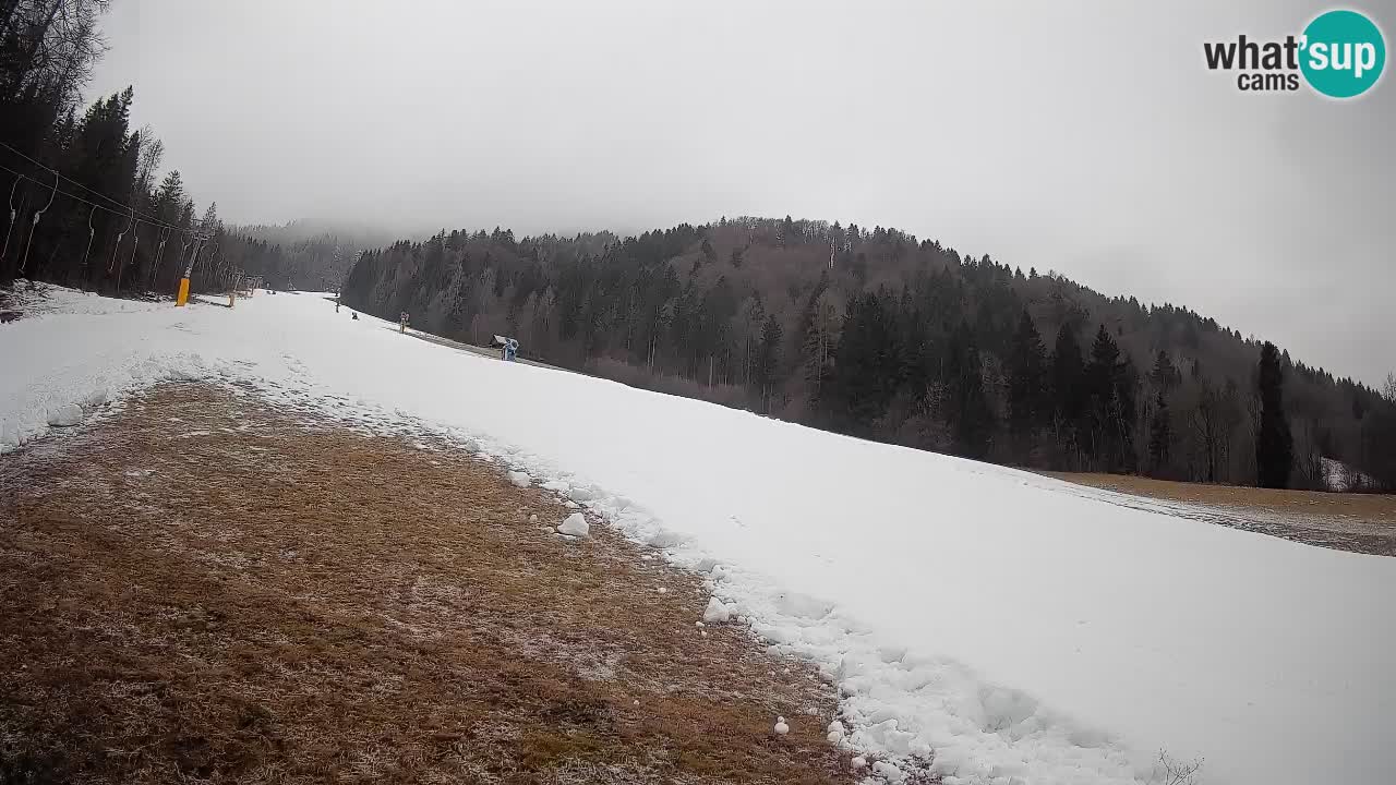 Kranjska Gora Station de ski | Brsnina