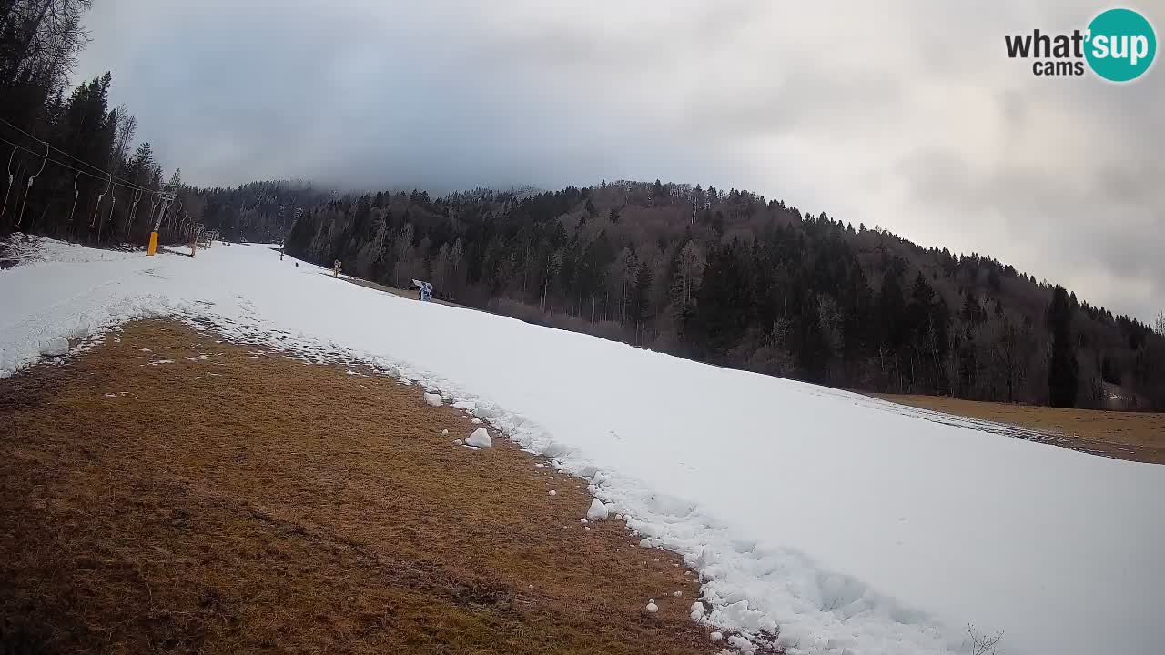 Ski Kranjska Gora | Brsnina