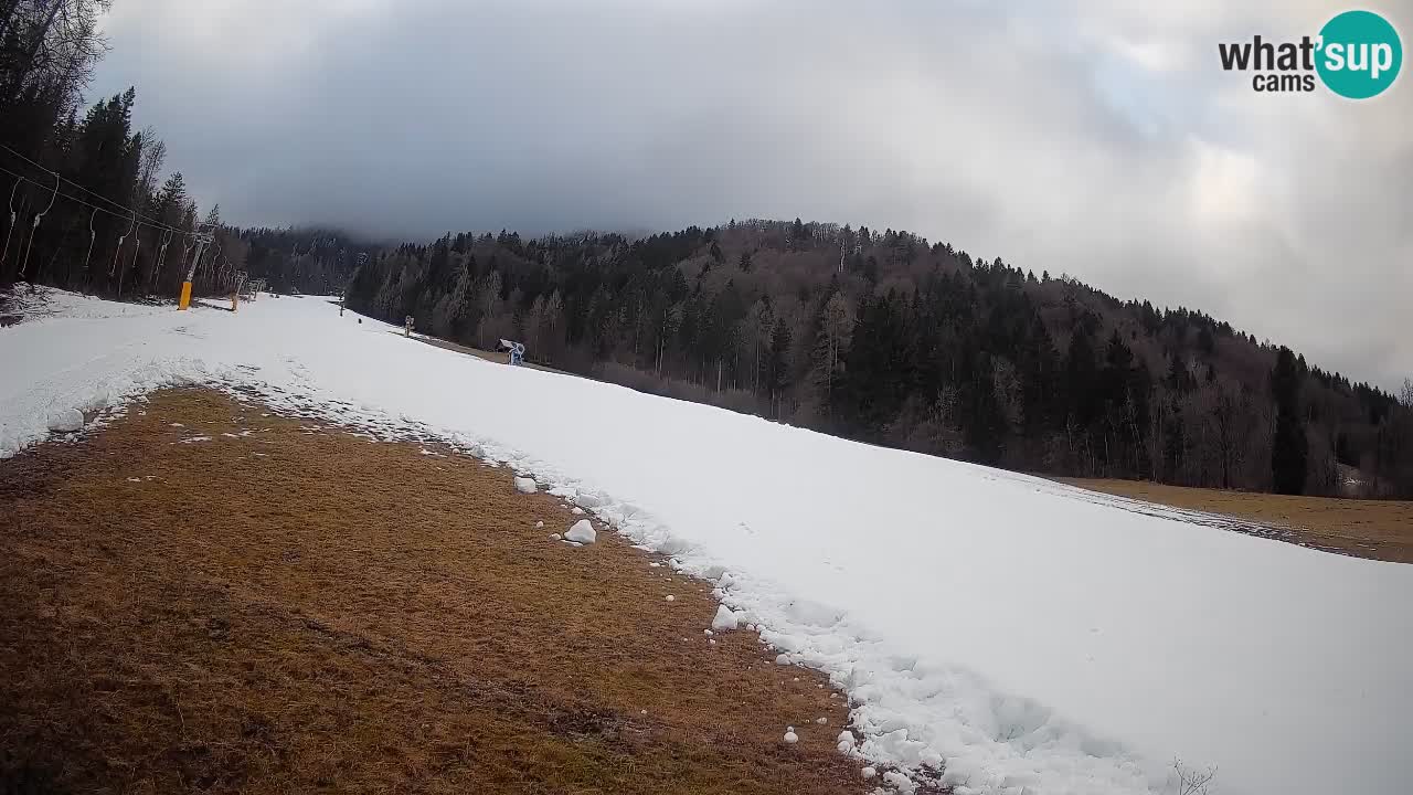 Comprensorio sciistico Kranjska Gora | Brsnina